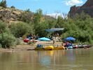 A colorful group of red, blue, and yellow whitewater rafts tied up at a campsite with blue umbrellas