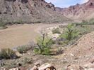 A muddy and swollen river moving past a group of rafts tied up at a desert canyon campsite