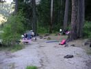 A sandy campsite at the edge of a dark forest of large trees
